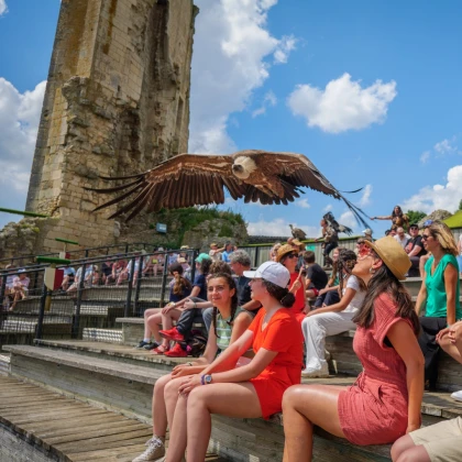Ballet musical et aérien aux Géants du Ciel de Chauvigny