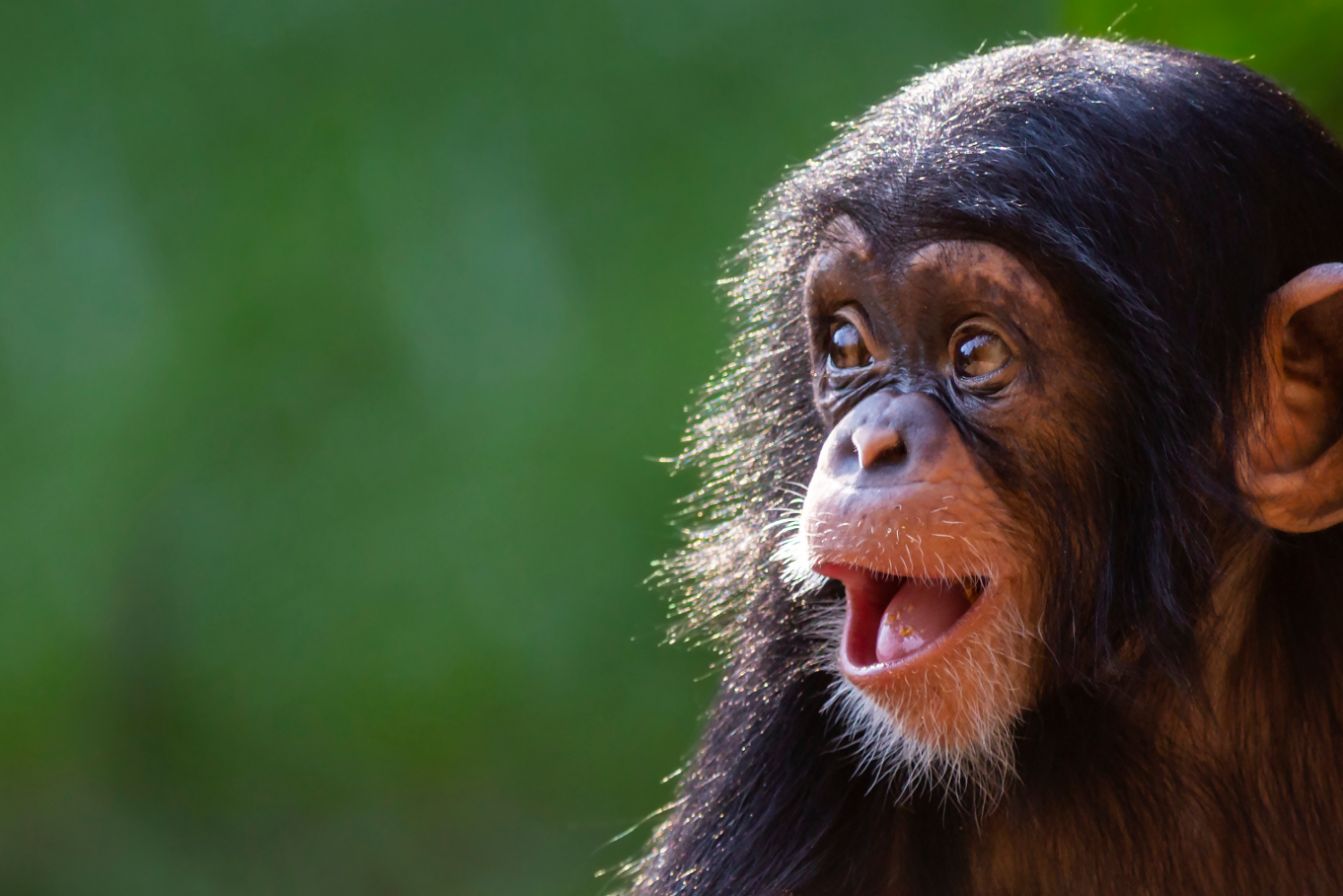 À propos Expérience Côte d'Azur